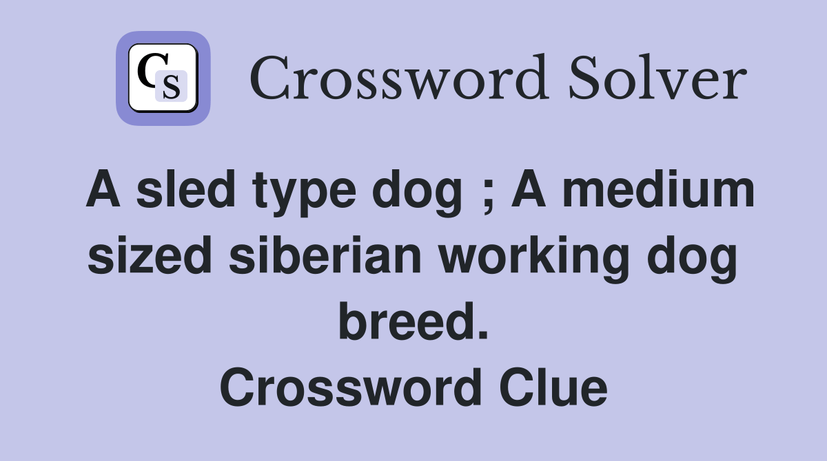 A sled type dog ; A medium sized siberian working dog breed. Crossword Clue Answers